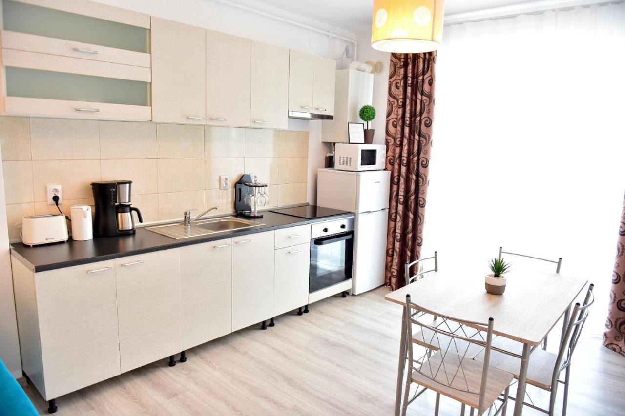 Flh - Apartament Central Silva シビウ エクステリア 写真